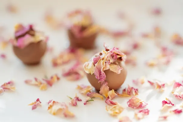 Kasino Sun Palace Android/iOS Aplikácia